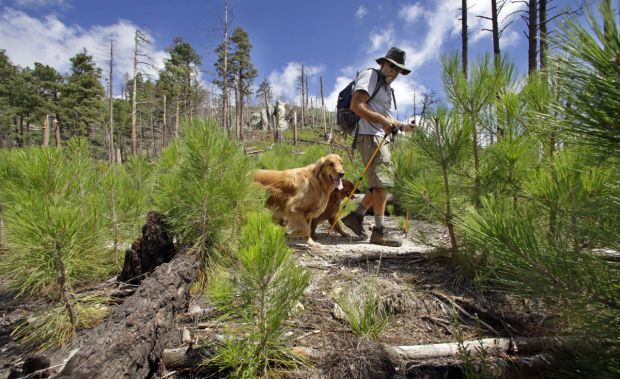 Forest Service, after suit, to drop fees at many recreation sites in Catalinas